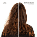 Shampoo ANTIFRIZZ Frizz Dismiss Sin Sulfato