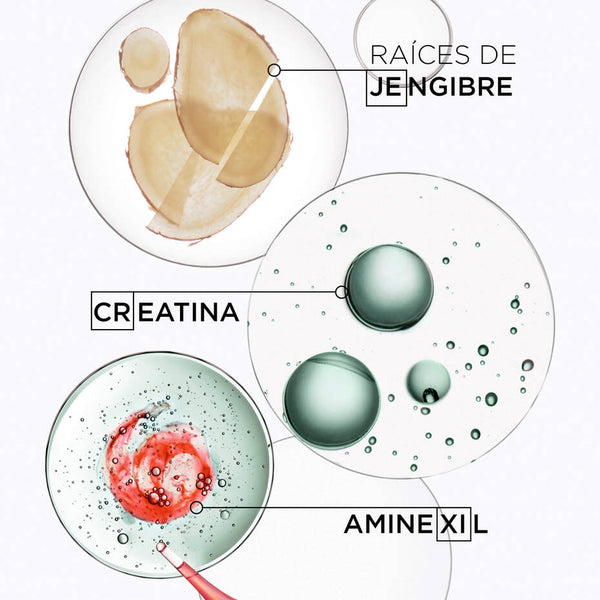 Shampoo para HOMBRES - FORTIFICANTE ANTICAÍDA Force Quotidien Genesis
