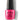 Pink flamenco